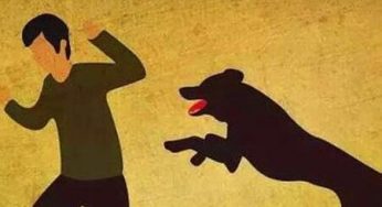 养宠物，你真的决定好了吗？