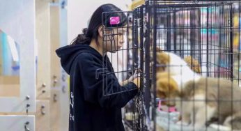 “主子”进驻：文明养宠的花果园