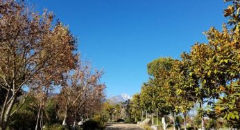 2018年康复手记 分享给患过重病的你
