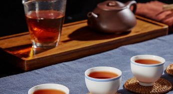 普洱茶怎么泡好喝？用紫砂壶还是盖碗？