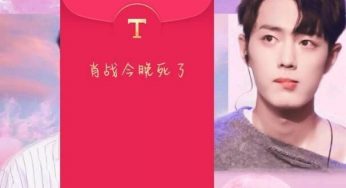 致黑粉与小飞侠