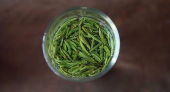 六大茶类哪些需要洗茶？终于说明白了