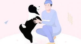 宠物犬种大全，附：挑选新方法