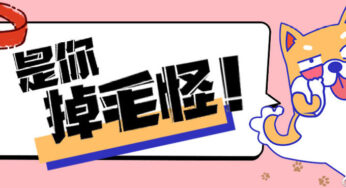 他来了他来了，他带着掉毛怪走来了！