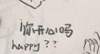 那一年，她捡了只猫