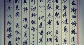瑜伽生活VS生活瑜伽