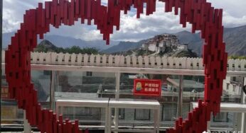 愿果果在天堂还能记得我们