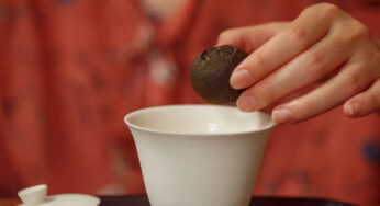 茶叶的分类，一些小知识