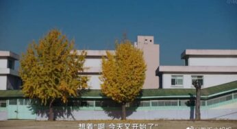 关于 并渡宫民族小学