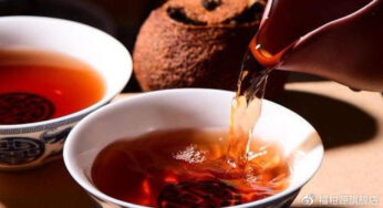喝茶的一大难题，“我该放多少茶叶”？