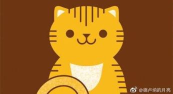 纯种猫的好处