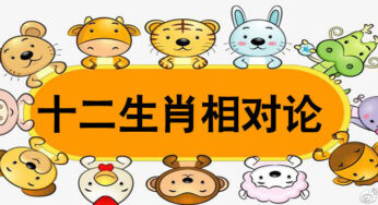 给老外讲十二生肖，特有面！