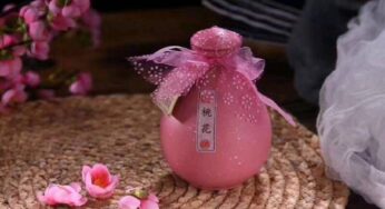 拒绝烂醉如泥，花果酒了解一下