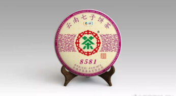 中茶8581 | 清香高扬，浓醇饱满