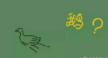 （日记1）运动会前一天