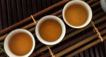 向往茶，却不懂茶… 即是茶，亦是你…