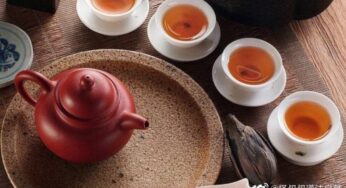 十五、认清赵明（二）