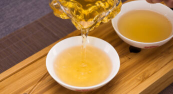 老普洱|您为何爱上了银饼？