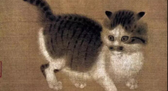 宋朝的猫，太心机了点