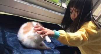 舒适关系