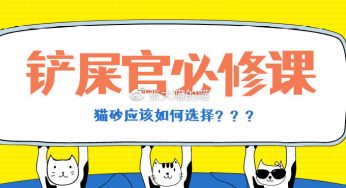 猫砂应该怎么选？主人在给猫咪选猫砂前，一定要搞清楚这几点！