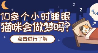 每天要睡十几个小时，猫咪也会做梦吗？猫做梦都会梦到什么？