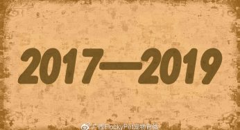 铲屎官们的2017和2019