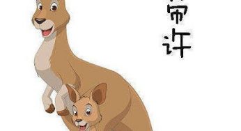 谐音梗系列：小割几和小饭琼好可爱，大姜鱼和大鸡居也很萌