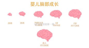 孩子一生仅有一次的大脑发育高峰期，父母千万别错过～