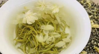 2020年新花茶，碧潭飘雪茉莉花茶