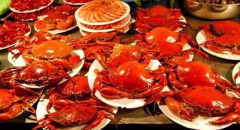 以下8大必吃城市！深夜慎入！每一个地方都会令你流口水！