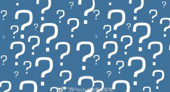 车价＞狗命？洗车钱＞罚款？