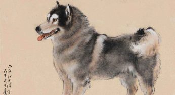 义犬传：咬死大蛇，救主人一命的“的尾”！
