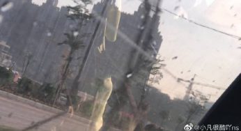一生只做一件事