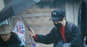 为什么肖战在被黑得最狠的时候，吸引了更多的粉丝?
