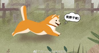 世界汪星人选丑冠军：我想有个脖子