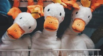 夜思｜周春红才是那个最变态的人？中国爸妈真的这么差？