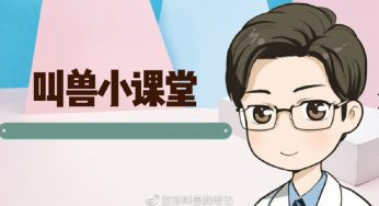 腹部抽脂后，是不是就能有马甲线？