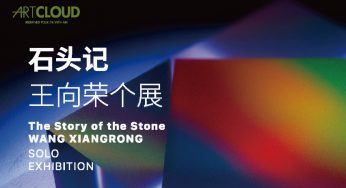 王向荣个展 ：石头记