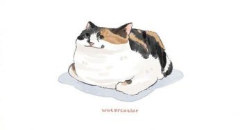 带猫咪在床上一起睡觉真的好吗？