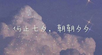 我和男朋友的月老是我养的一只小吉娃娃