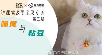 铲屎官喵尾：让猫咪保持可爱的秘诀是…