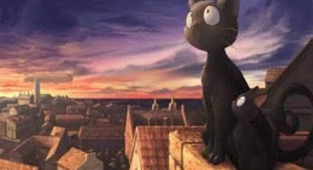喵主子：这世界我对谁都高冷的起来 除了逗猫棒