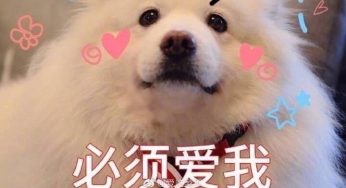 闲的没事叨叨两句
