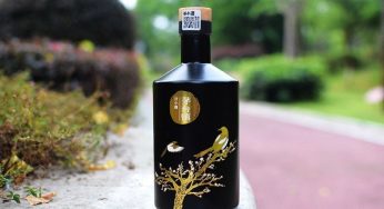 古法酿造传承 谷小酒.茅台镇 53度酱香型白酒