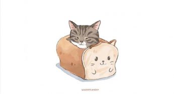 夏季尽量避免的猫包款式
