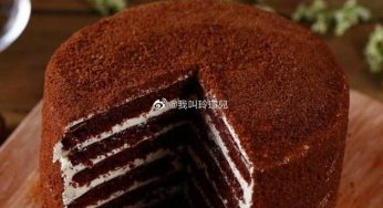 提拉米苏 Tiramisu 意大利甜品