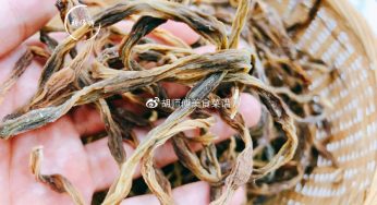 吃不完的豆角，万万不可直接放冰箱！教您一妙招，从夏天吃到冬天