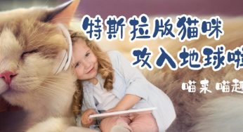 喵来喵趣 | 特斯拉版猫攻入地球啦~
