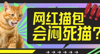 别再生产这种猫包了！网红猫包是隐形杀手，大部分铲屎官却都在用